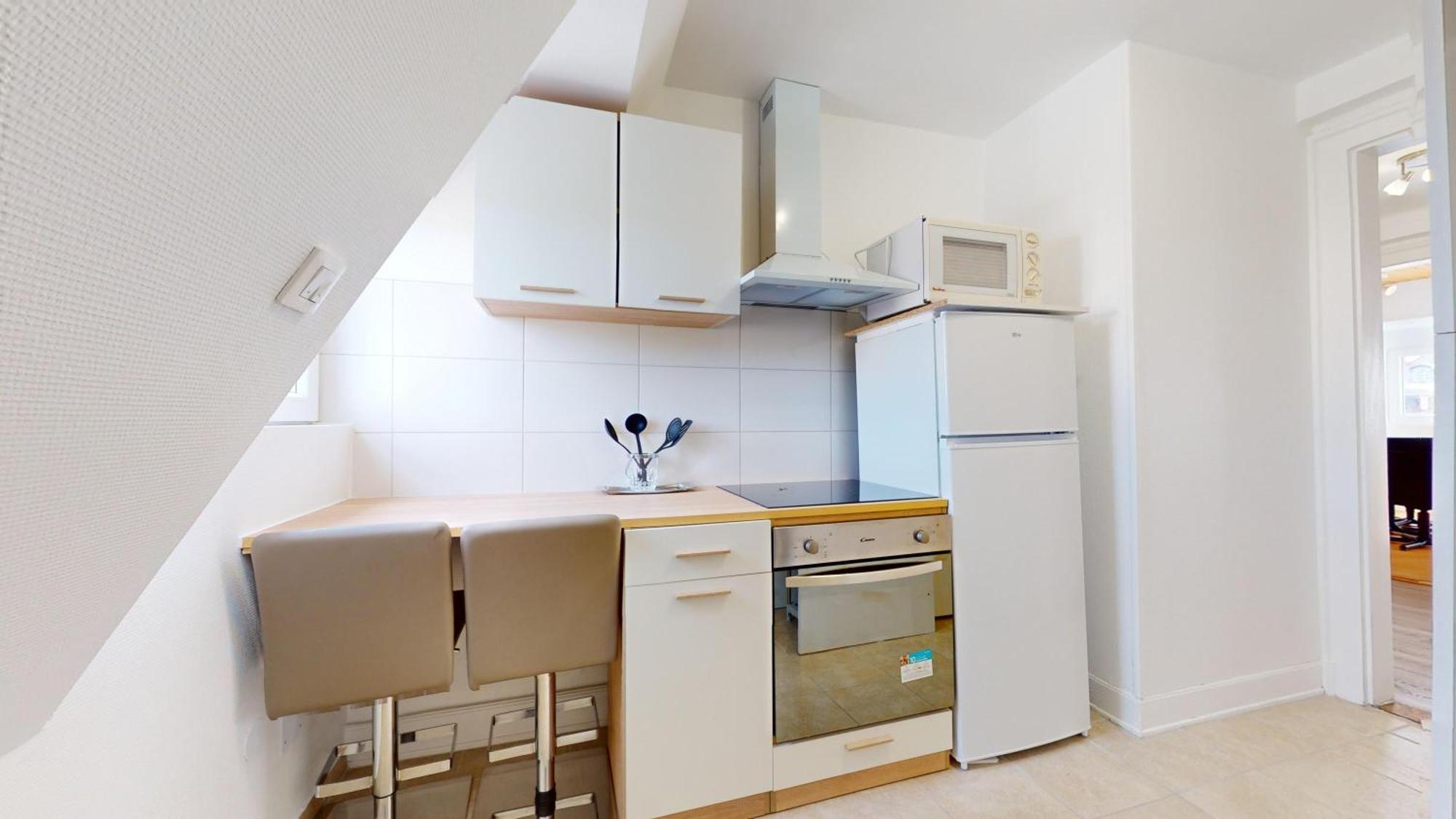 Les Appartements De Georges Avec Parking Кольмар Екстер'єр фото