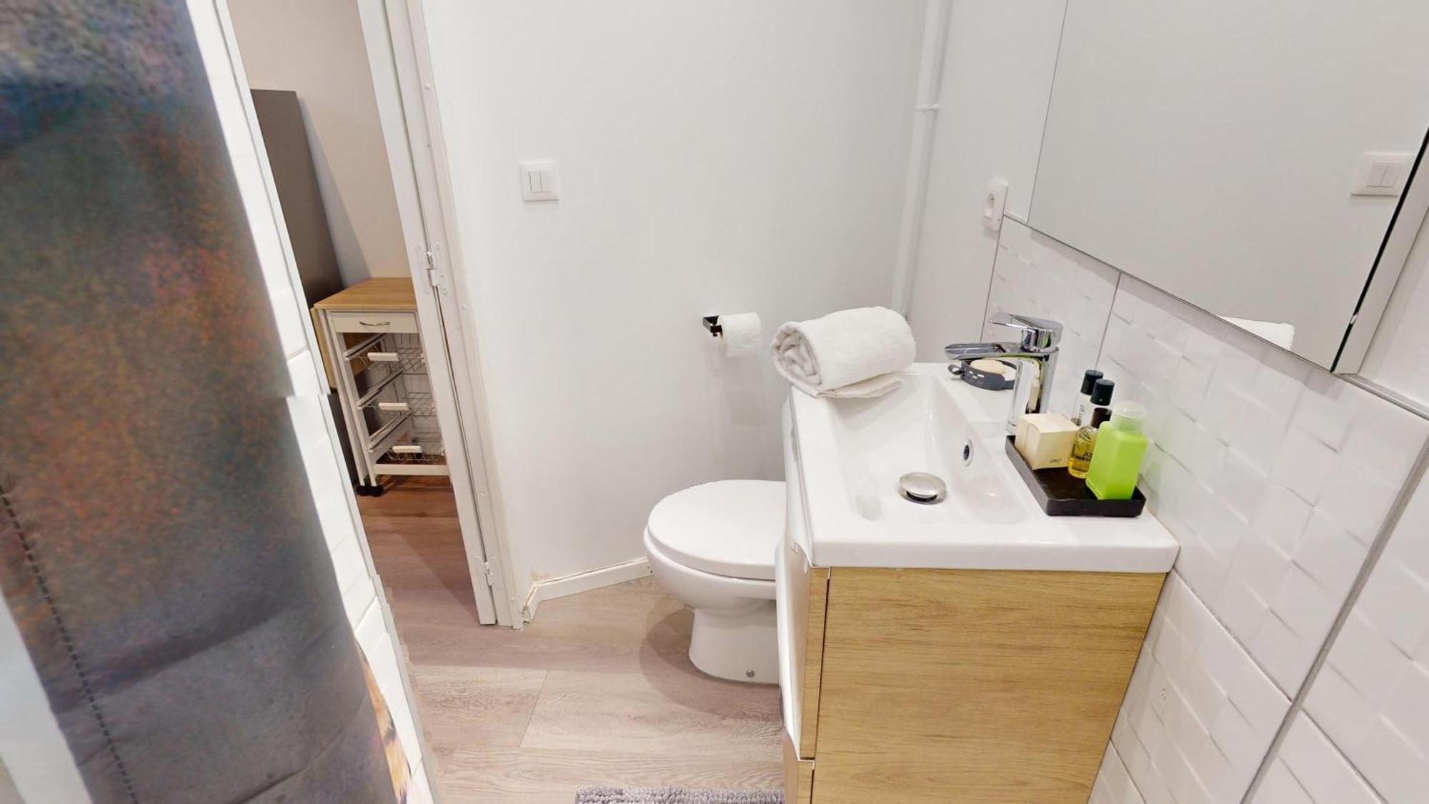 Les Appartements De Georges Avec Parking Кольмар Екстер'єр фото